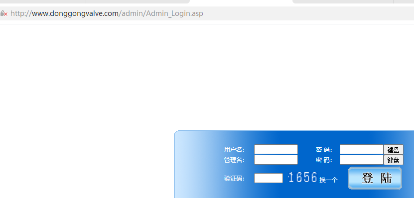 虚拟主机正常绑定域名访问不了