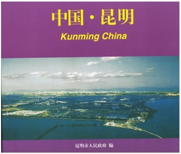 昆明域名