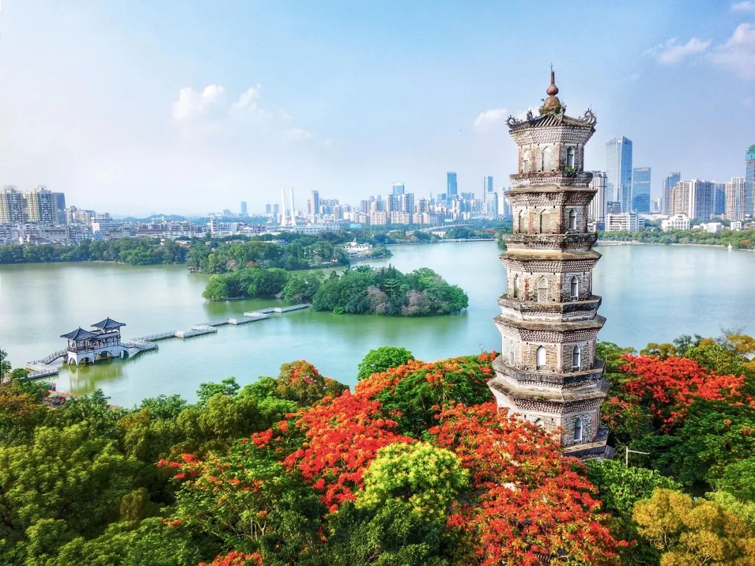 惠州中介超市备案