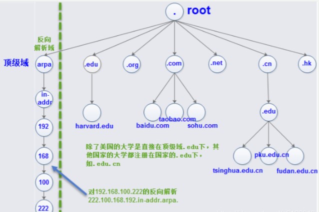 为什么顶级域名有排名