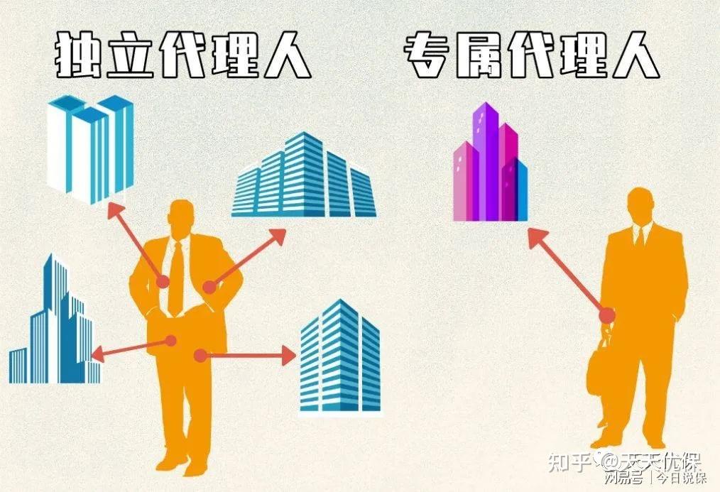 域名独立代理
