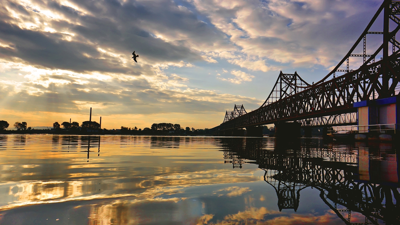 丹东宠物饲料备案加工企业