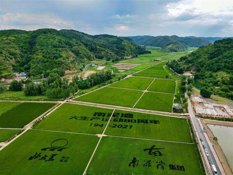 陕西省民办幼儿园收费备案