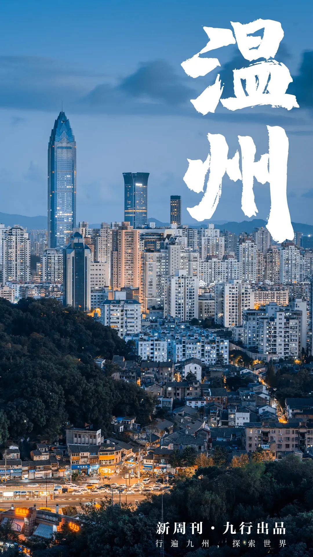 温州公章备案查询系统