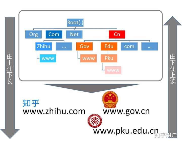 域名结构知识点
