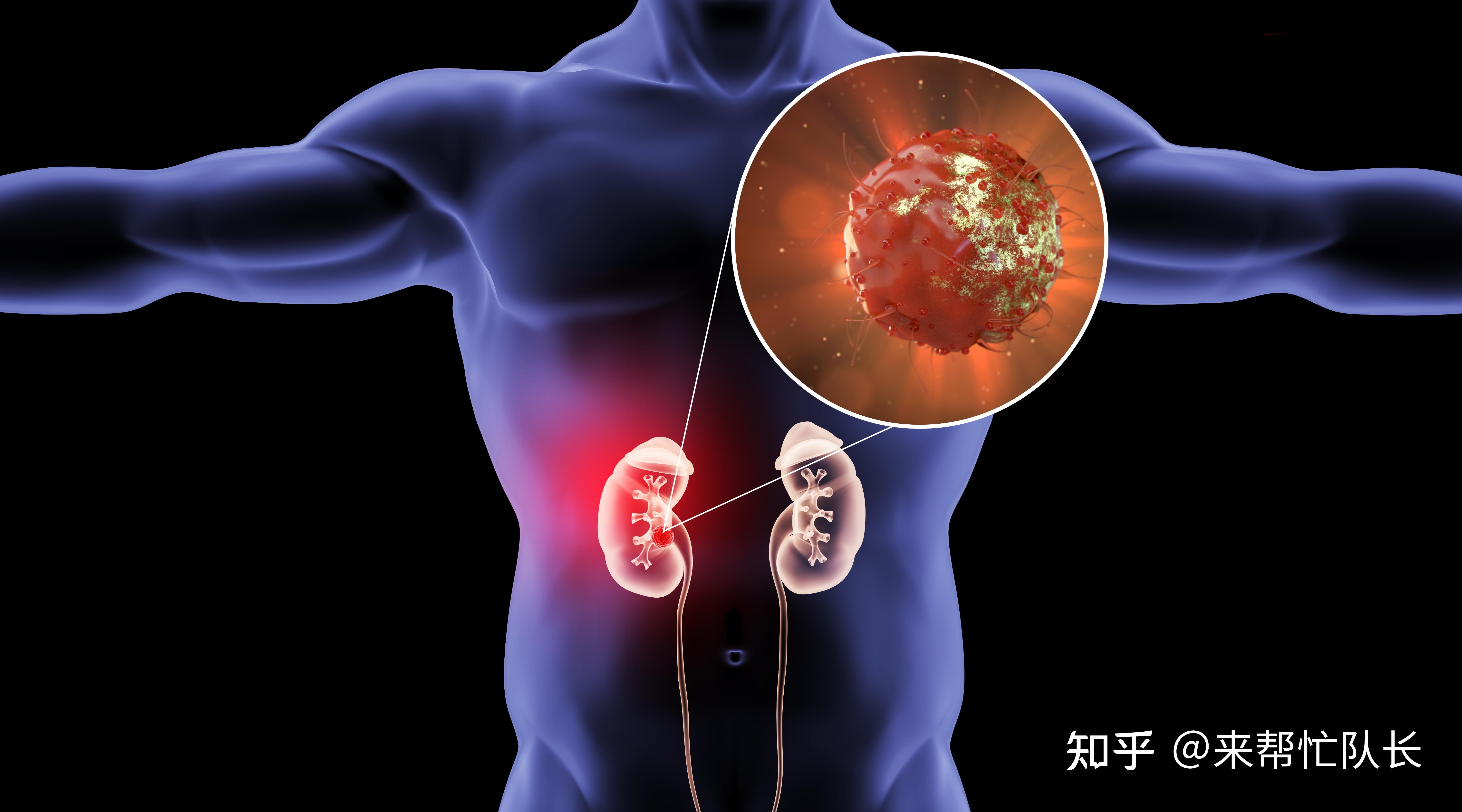 肾内科如何备案