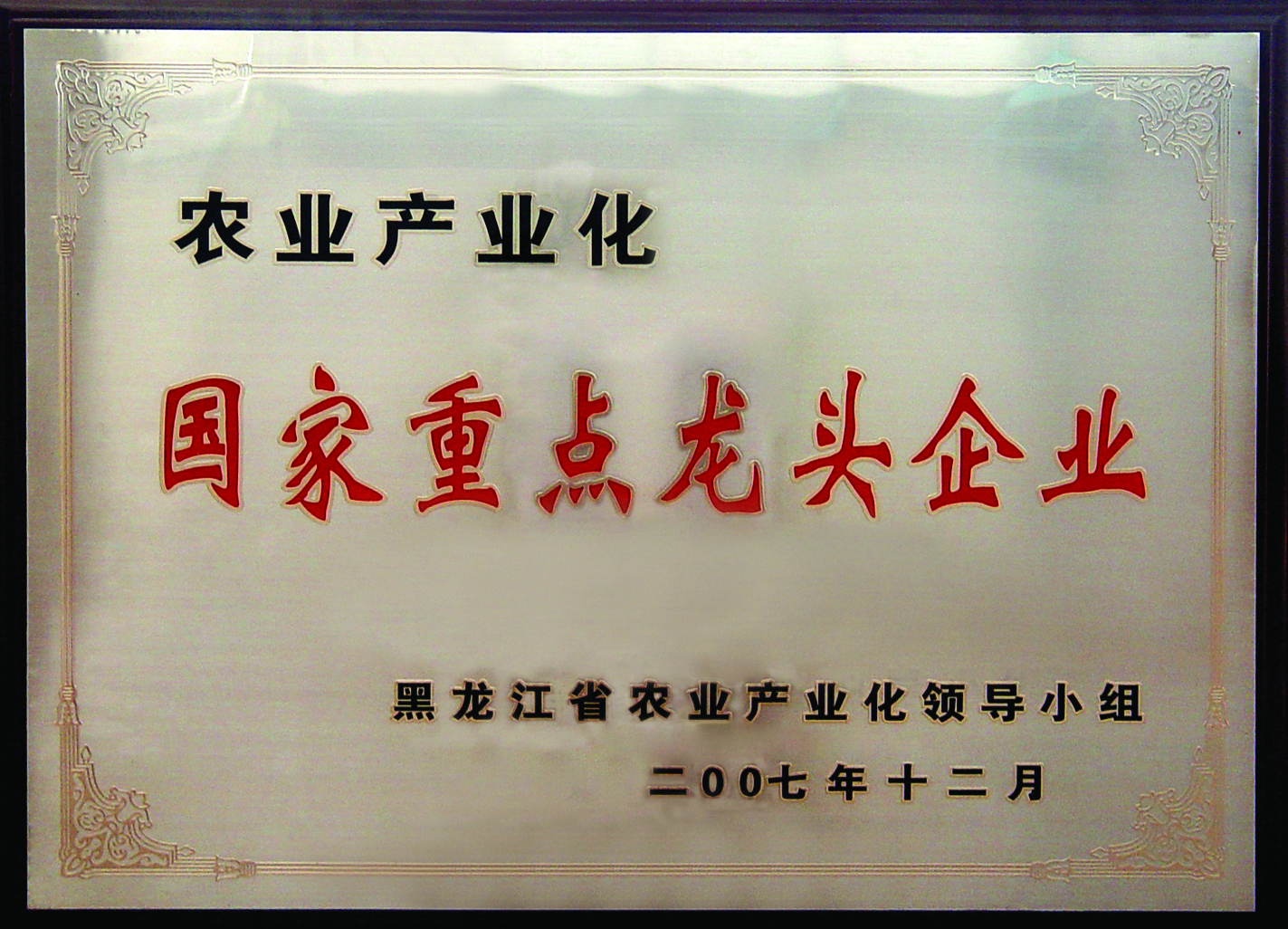 河北出口薯条备案公司