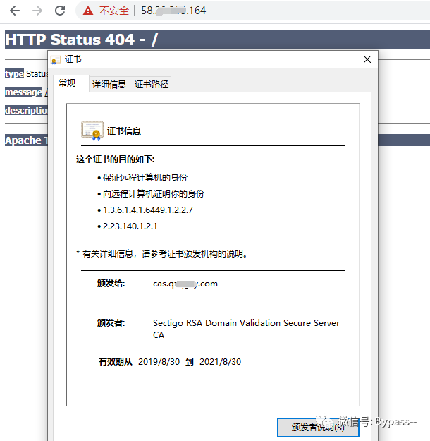 绑定域名到ip相关的it服务
