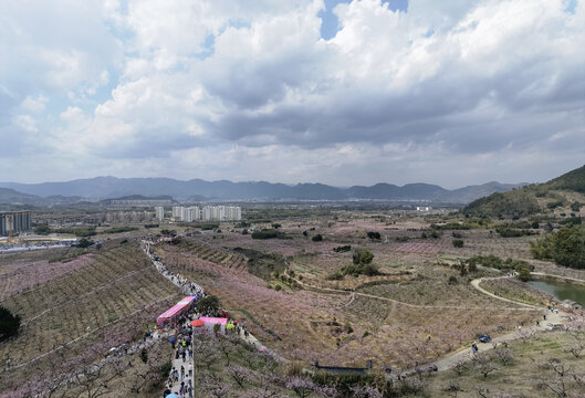 泰州桃花源备案